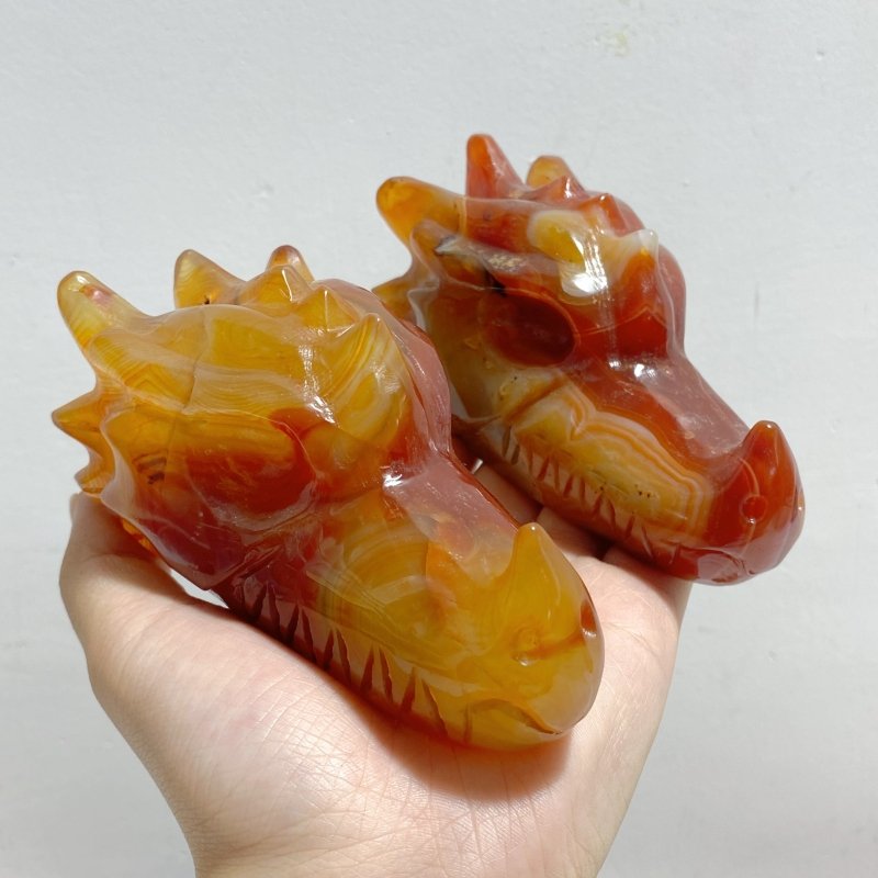 8 Pieces Carnelian Dragon Head Carving -Wholesale Crystals