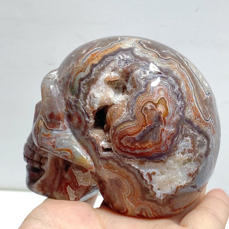 8 Pieces Geode Druzy Morocco Agate Skull Carving 2 - Wholesale Crystals