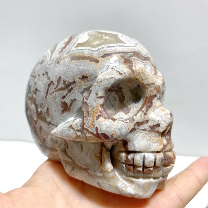 8 Pieces Geode Druzy Morocco Agate Skull Carving 4 - Wholesale Crystals