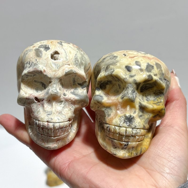 9 Pieces Beautiful Crazy Agate Skull Carving - Wholesale Crystals