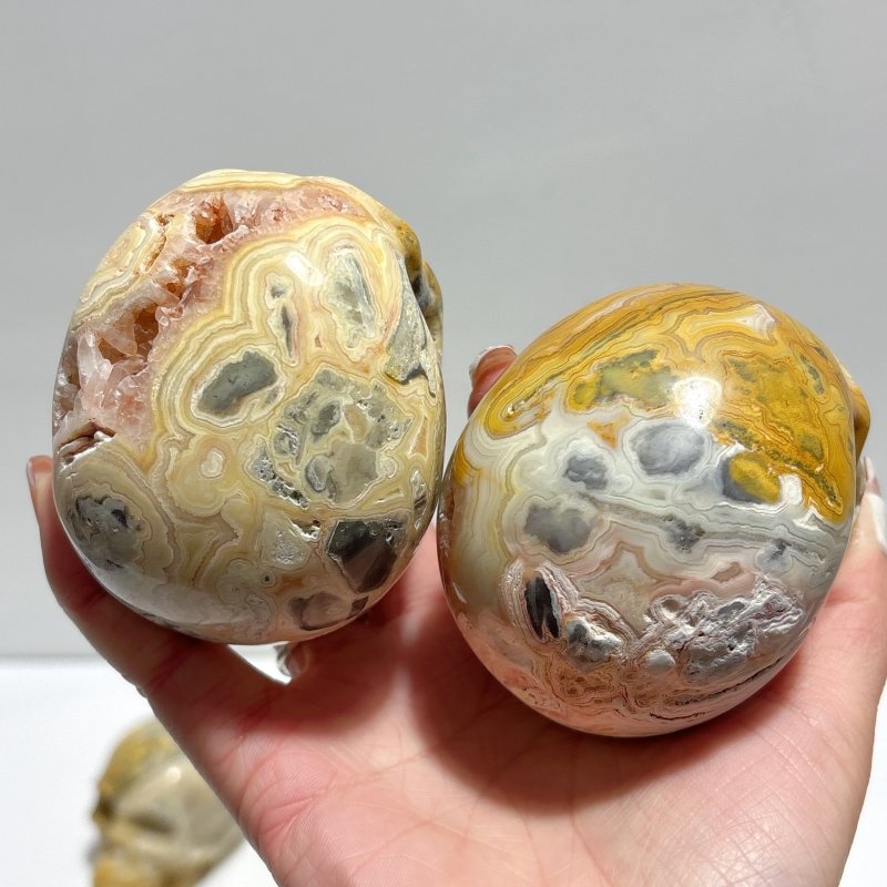9 Pieces Beautiful Crazy Agate Skull Carving - Wholesale Crystals