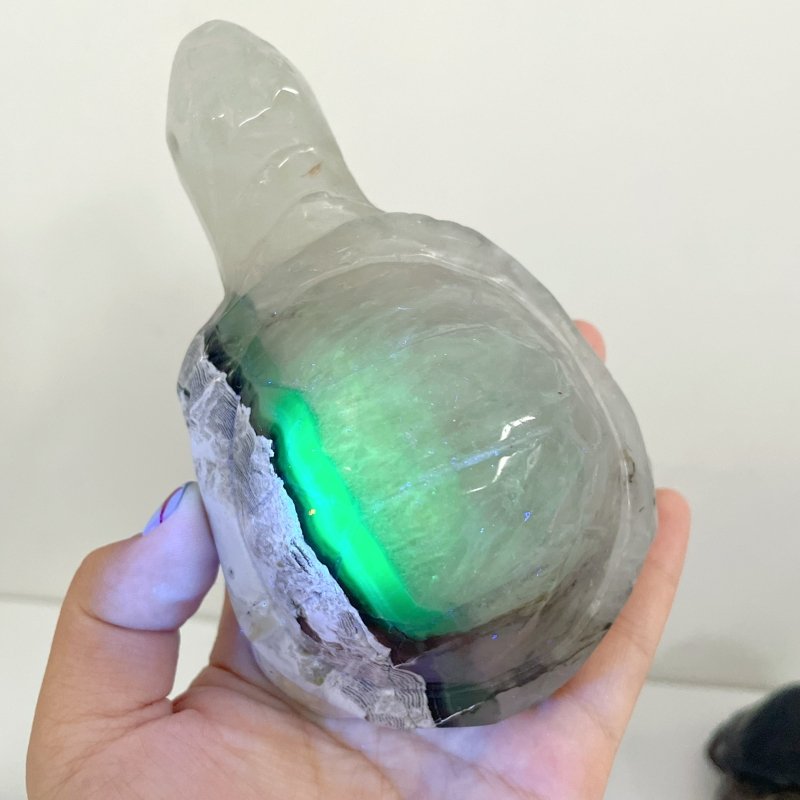 9 Pieces Volcano Agate Turtle Carving(UV - Reactive) - Wholesale Crystals