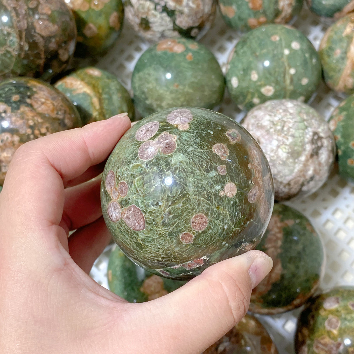 61 Pieces Rainforest Jasper Spheres (Sea Freight Only)