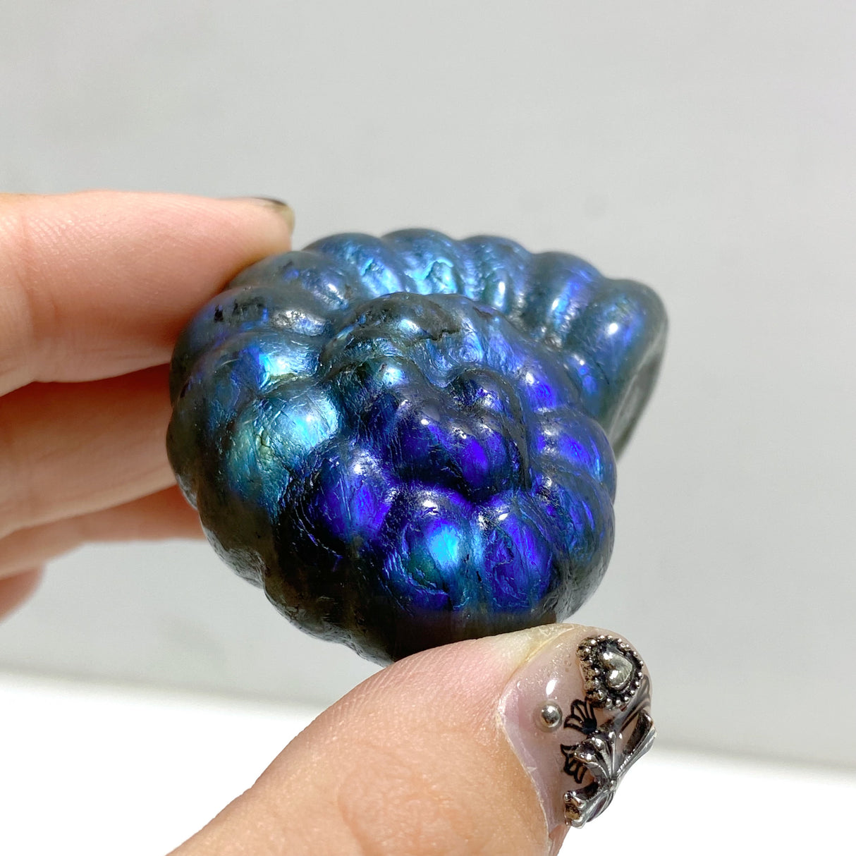 Labradorite Conch Carving Wholesale