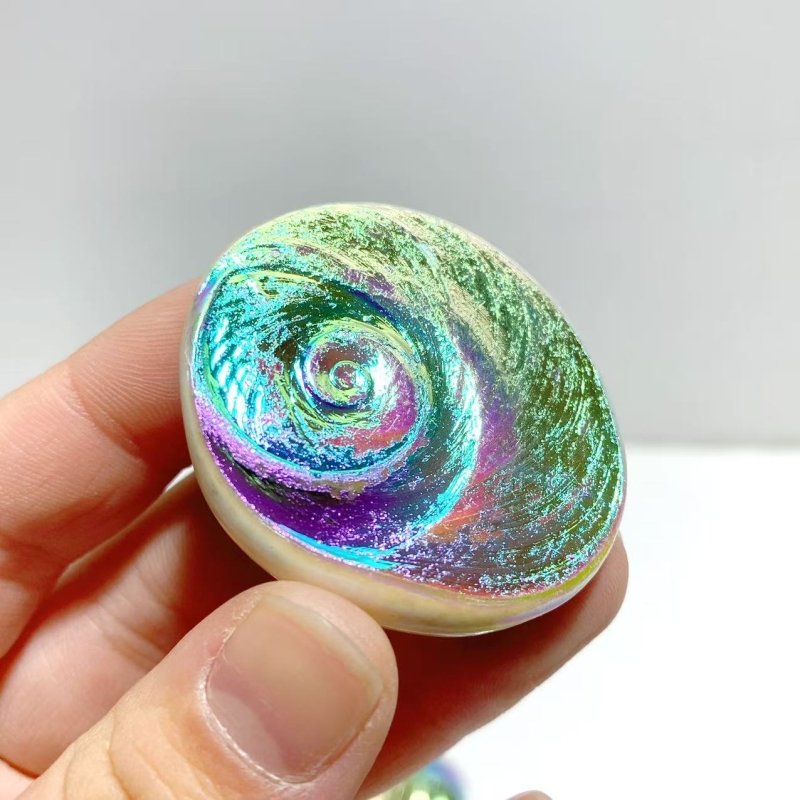 Aura Shell Fossil Wholesale - Wholesale Crystals