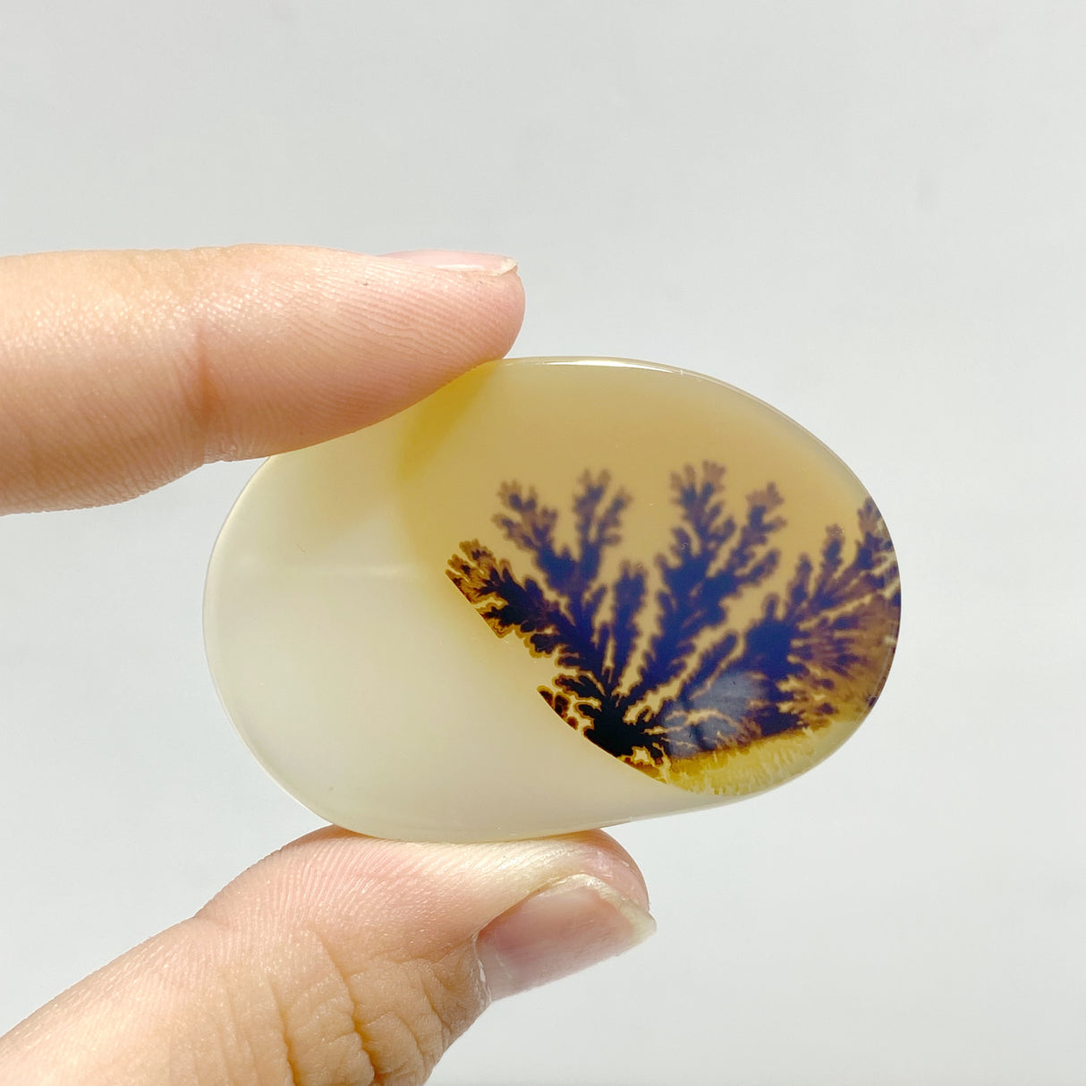 11 Pieces Natural Rare Scenic Dendritic Agate Stone