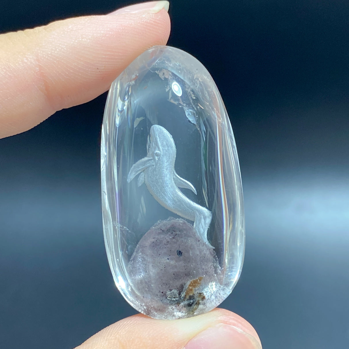 5 Pieces Beautiful Dolphin Garden Quartz Inner Scene Carving