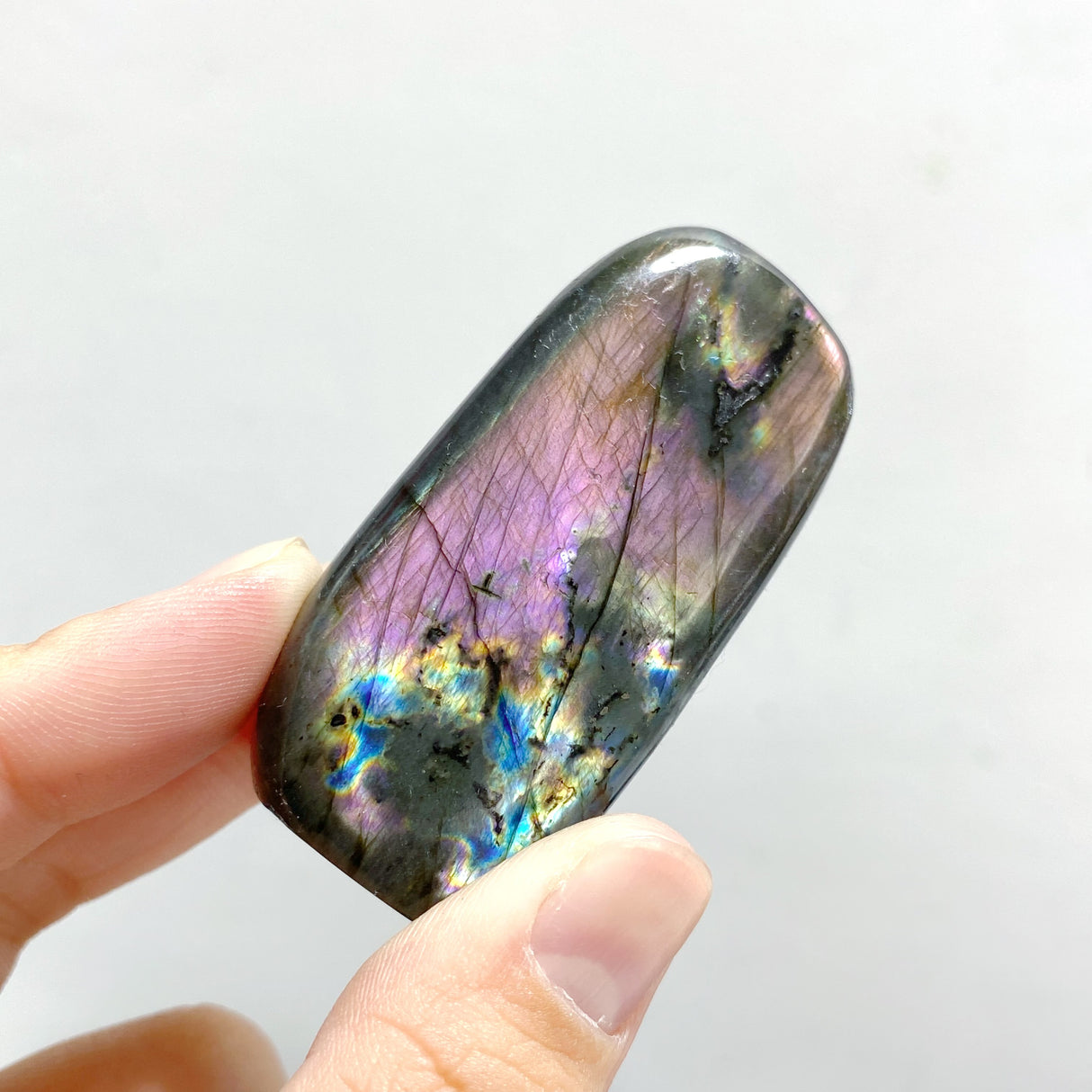 44 Pieces Polished Labradorite Free Form