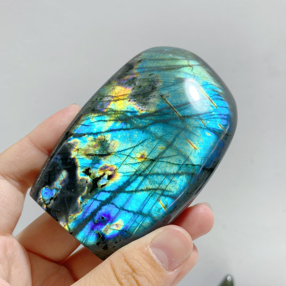 14 Pieces Beautiful Yellow Blue Labradorite Free Form