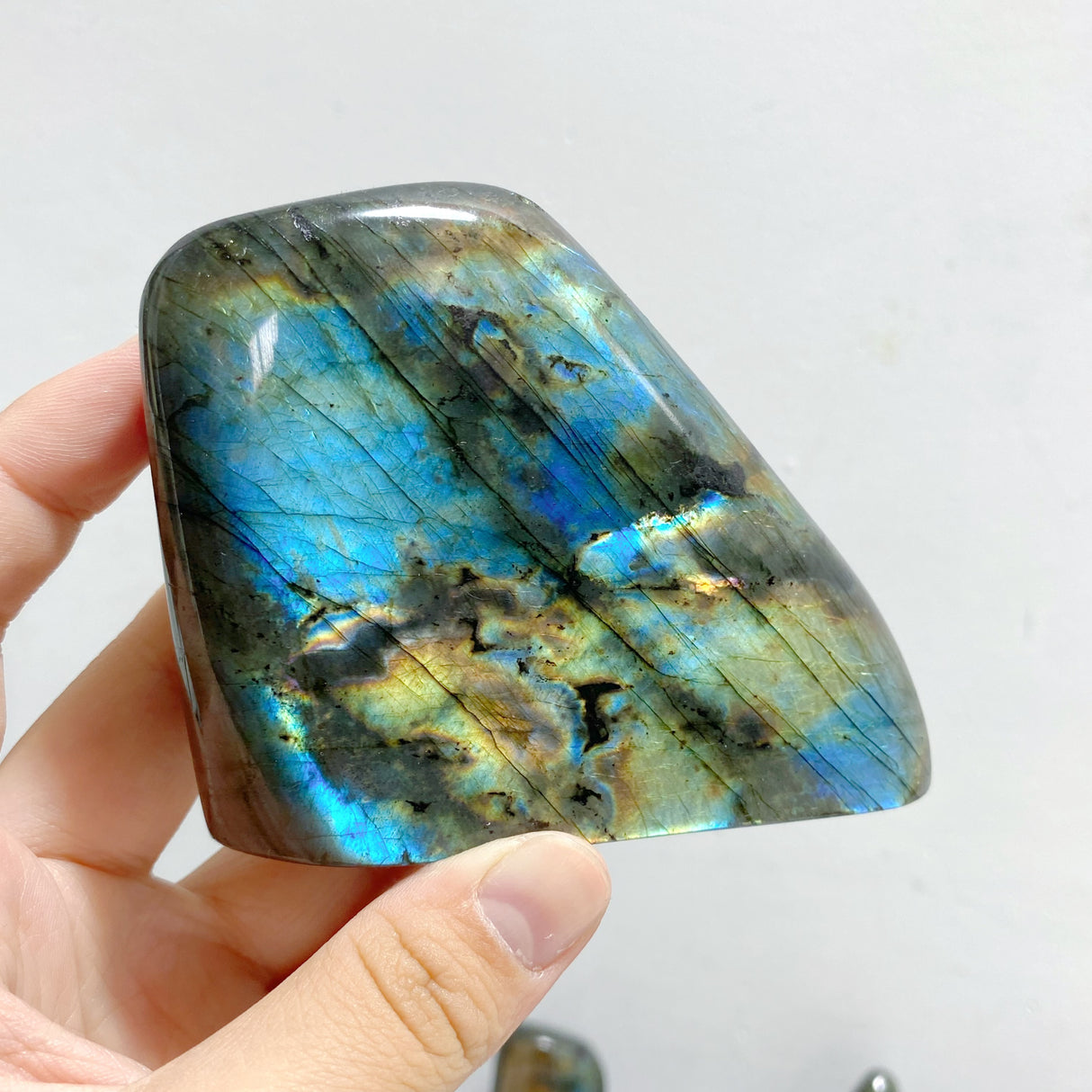 14 Pieces Beautiful Yellow Blue Labradorite Free Form