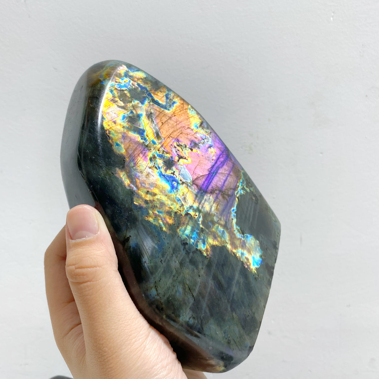 7 Pieces Large Labradorite Free Form
