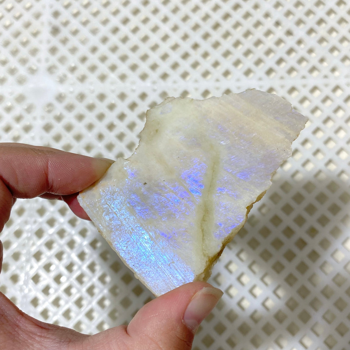 101 Pieces Blue Moonstone Slabs (Sea Freight Only)
