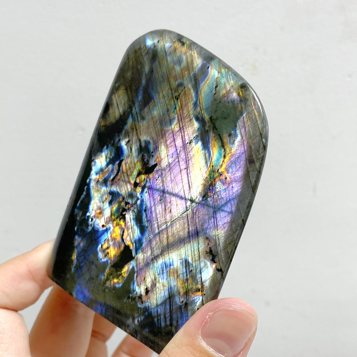 13 Pieces Polished Labradorite Free Form