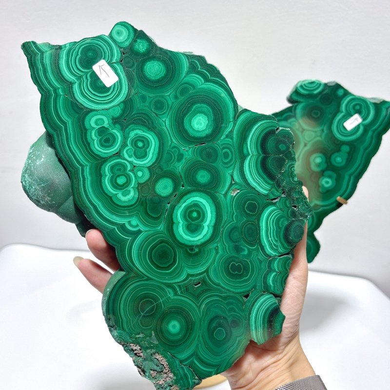 Large Polished Malachite Raw Slab Butterfly Wing With Stand(#8) - Wholesale Crystals