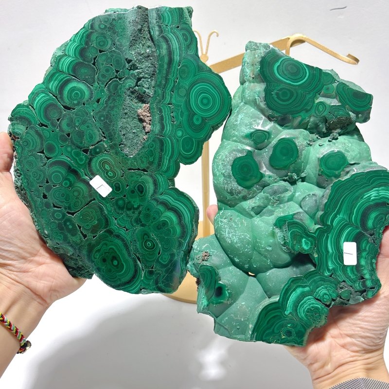 Large Polished Malachite Raw Slab Butterfly Wing With Stand(#8) - Wholesale Crystals