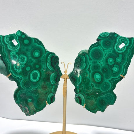 Large Polished Malachite Raw Slab Butterfly Wing With Stand(#8) - Wholesale Crystals