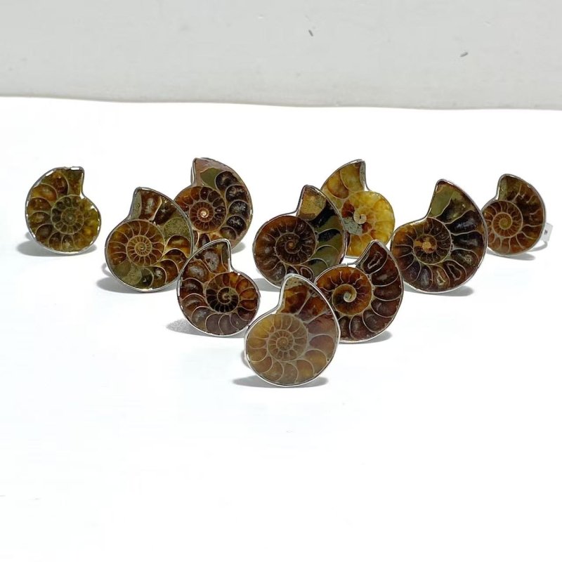 Natural Ammonite Fossil Conch Ring Wholesale - Wholesale Crystals