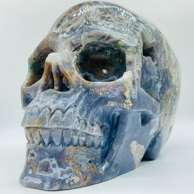 11.77kg(25.8lbs) Unique Large Ocean Jasper Geode Skull -Wholesale Crystals