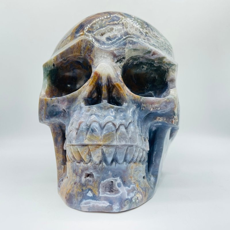 11.77kg(25.8lbs) Unique Large Ocean Jasper Geode Skull -Wholesale Crystals