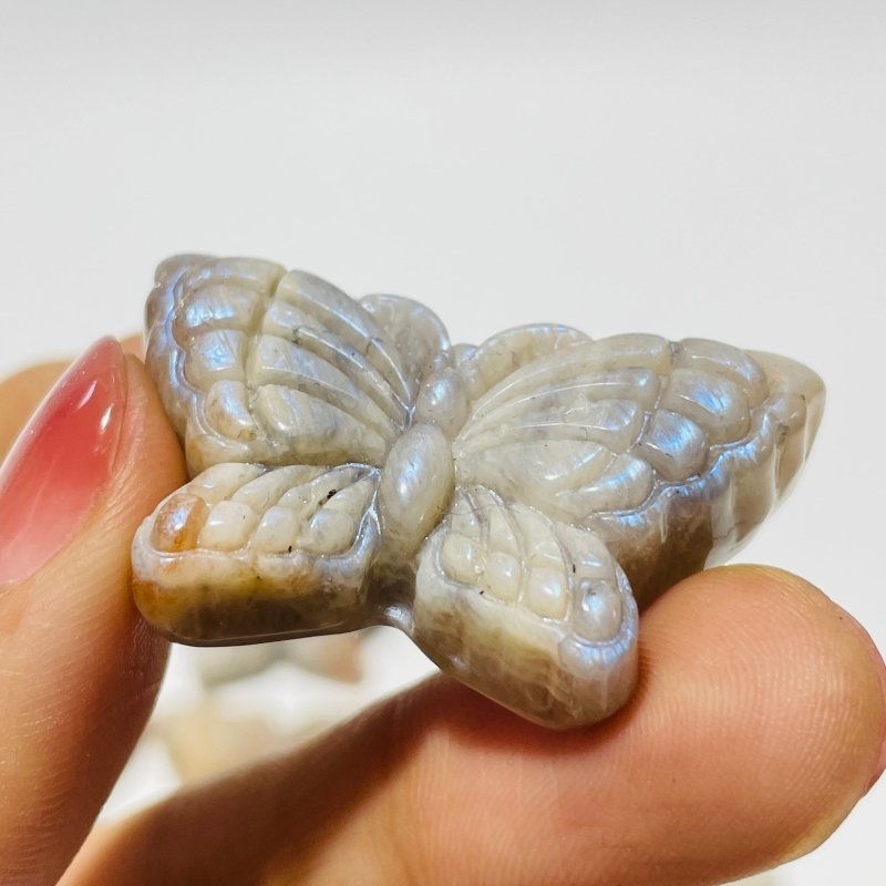 21 Pieces Sunstone Mixed Moonstone Butterfly Carving -Wholesale Crystals