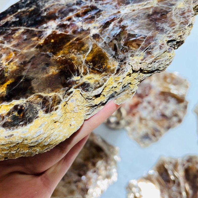 5 Pieces Raw Gold Mica Slab Stone Specimen -Wholesale Crystals