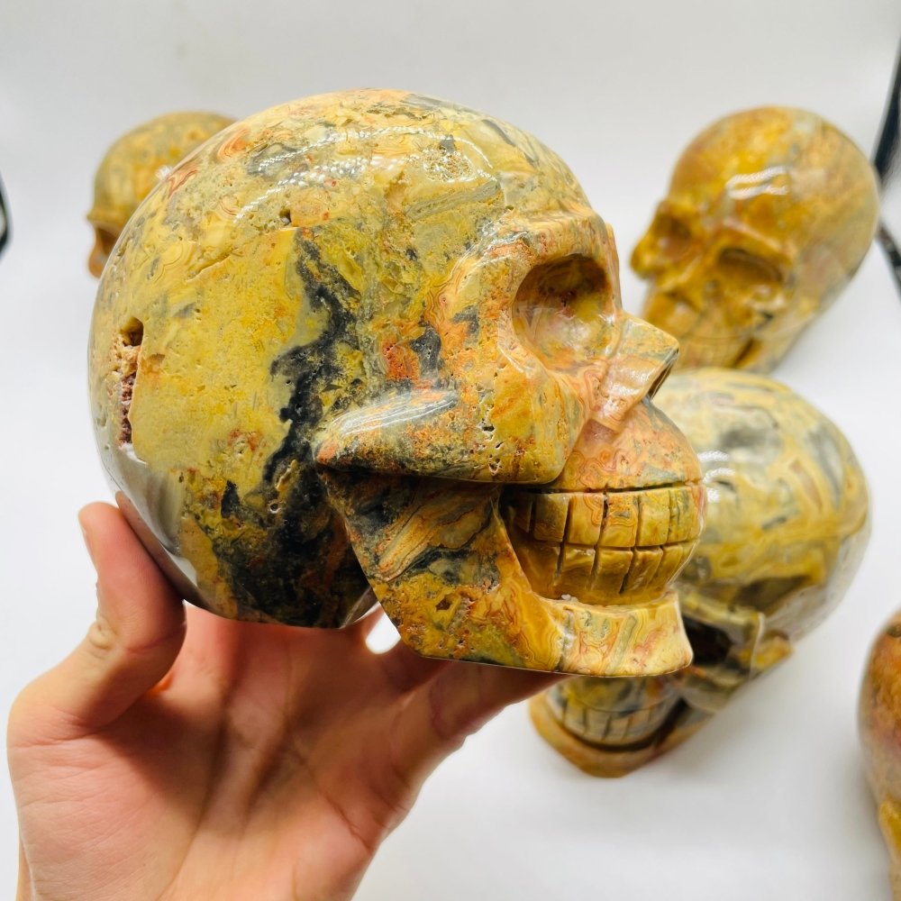 6 Pieces Crazy Agate Large Skull Carving -Wholesale Crystals
