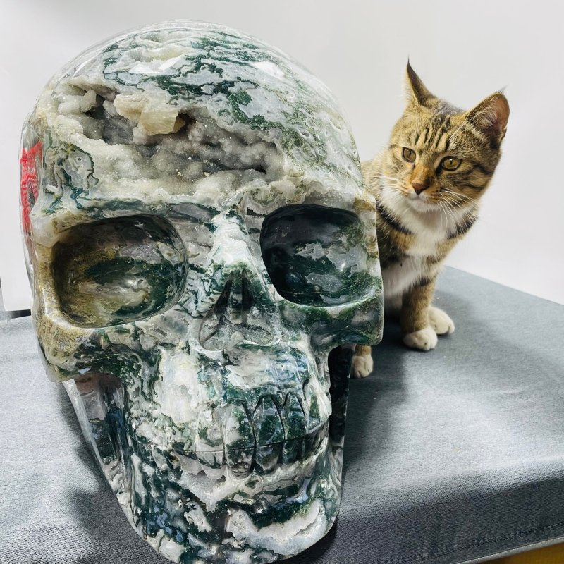 71.8kg Very Large Geode Druzy Moss Agate Skull Carving 20Inch - Wholesale Crystals