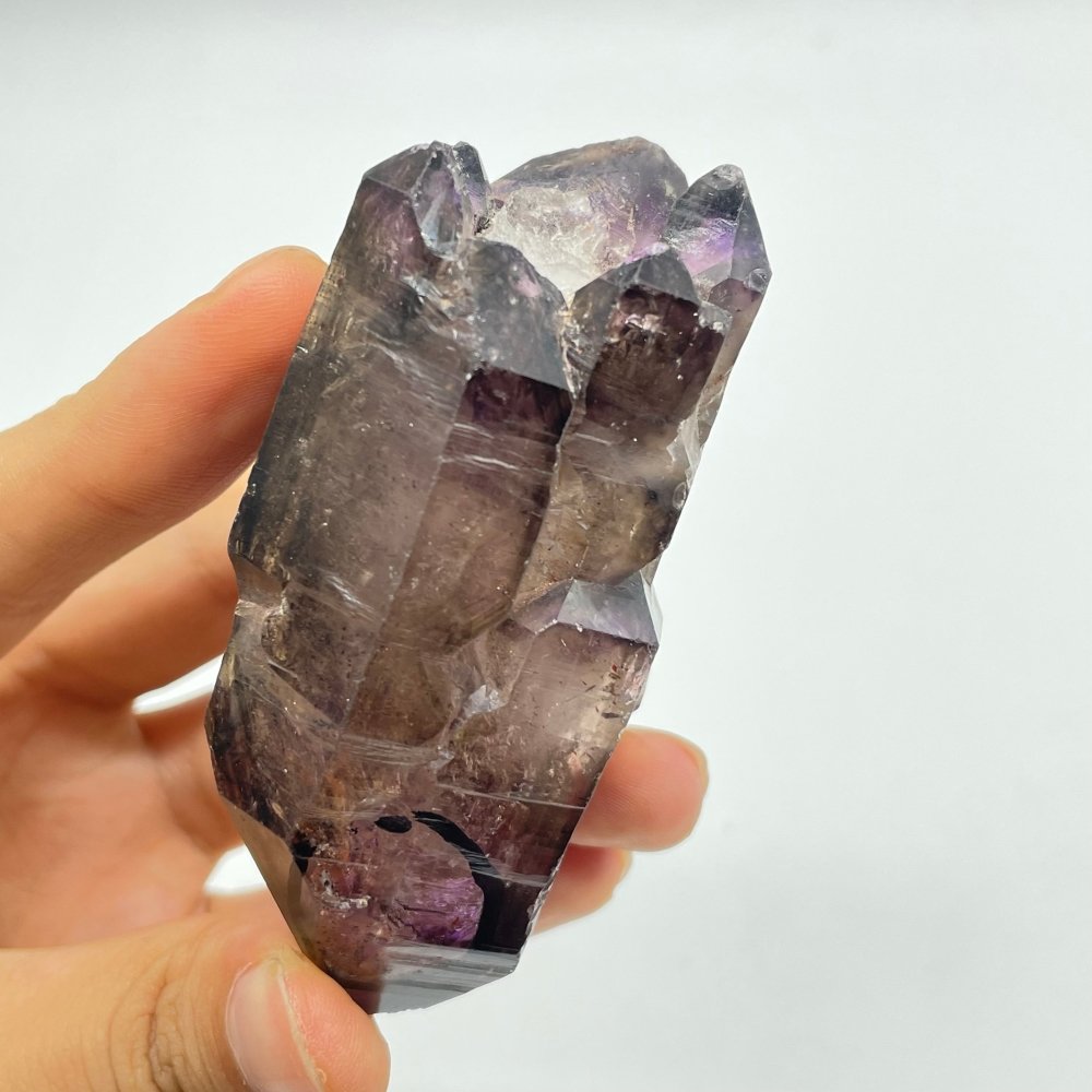 A05 Scepter Super7 Amethyst Enhydro Crystal -Wholesale Crystals