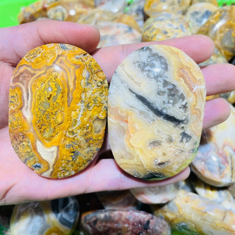 Crazy Agate Palm Wholesale -Wholesale Crystals