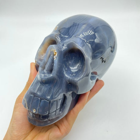 High Quality Geode Druzy Agate Large Skull -Wholesale Crystals