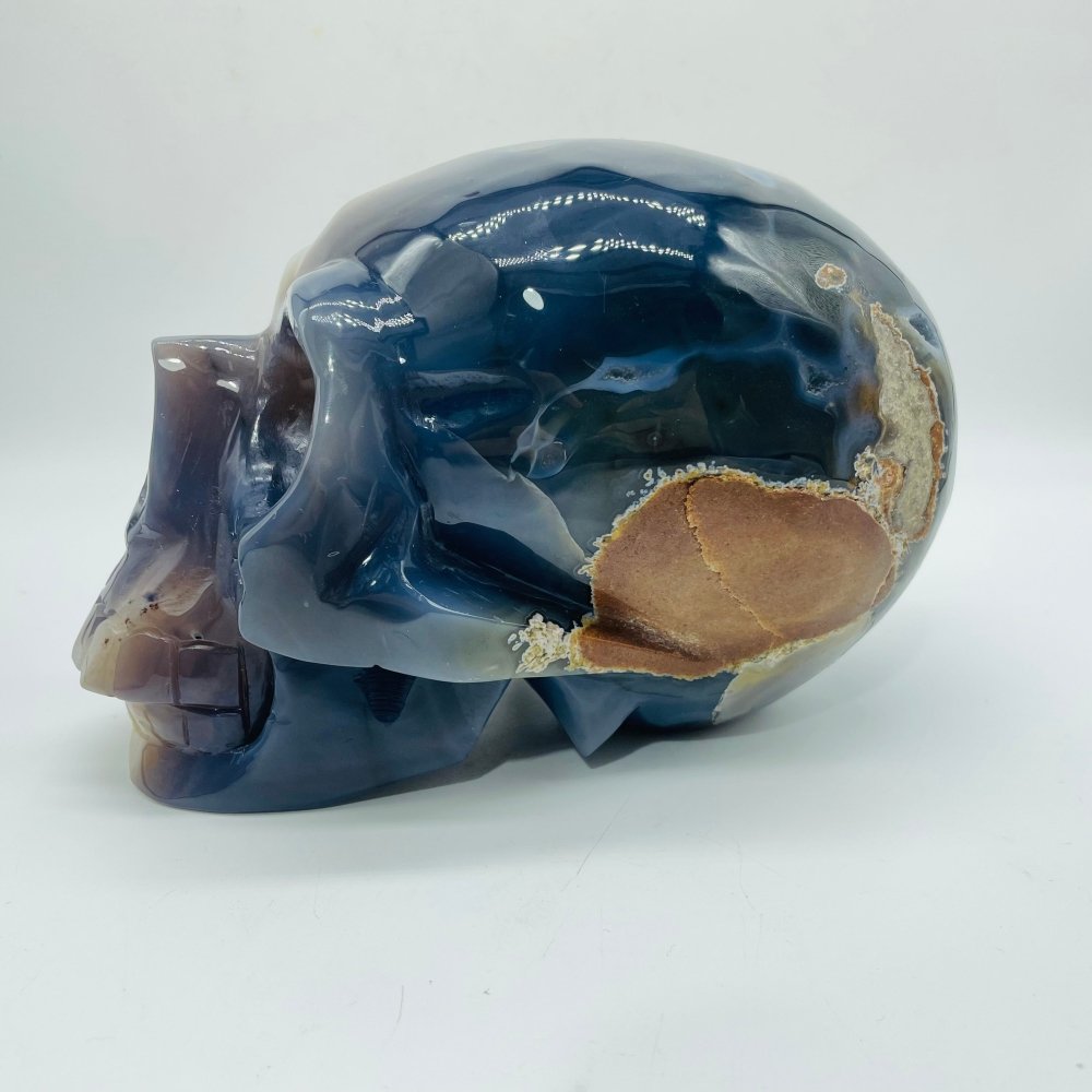 Large Geode Druzy Agate Skull -Wholesale Crystals