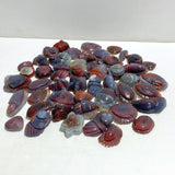 49 Pieces Africa Red Agate Sea Animals Carving