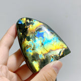 15 Pieces Labradorite Polished Free Form