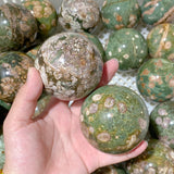 61 Pieces Rainforest Jasper Spheres (Sea Freight Only)