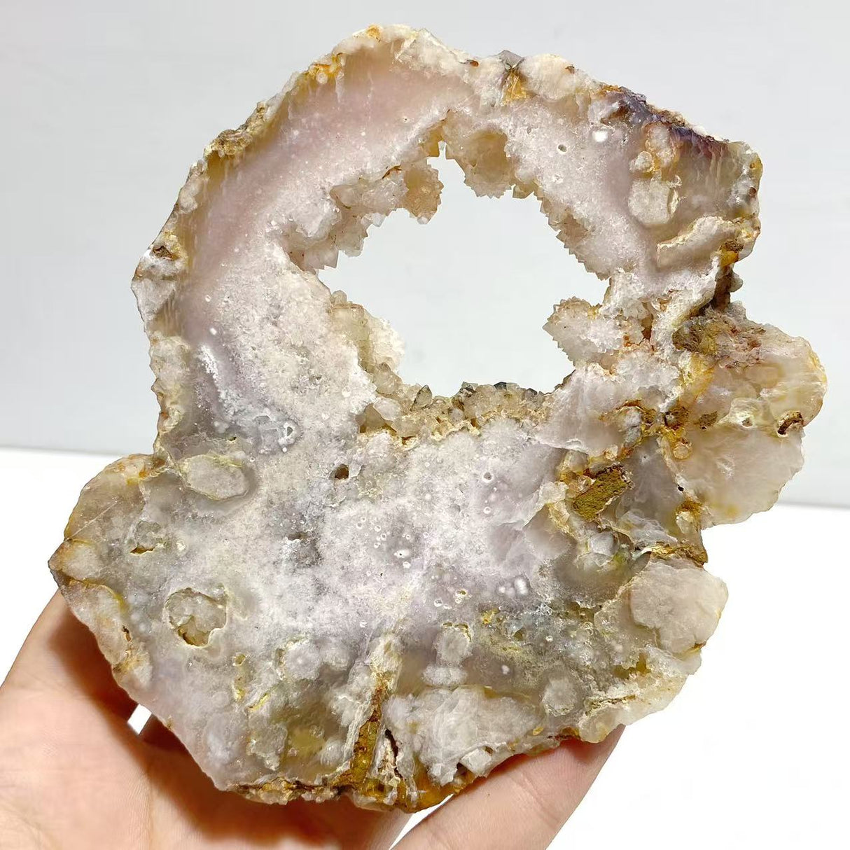 2 Pairs Geode Druzy Sakura Flower Agate Butterfly Wing With Stand