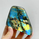 14 Pieces Beautiful Yellow Blue Labradorite Free Form