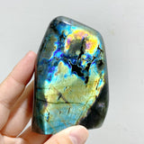 13 Pieces Polished Labradorite Free Form