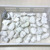 35 Pieces Raw Clear Quartz Cluster Specimen For Collection