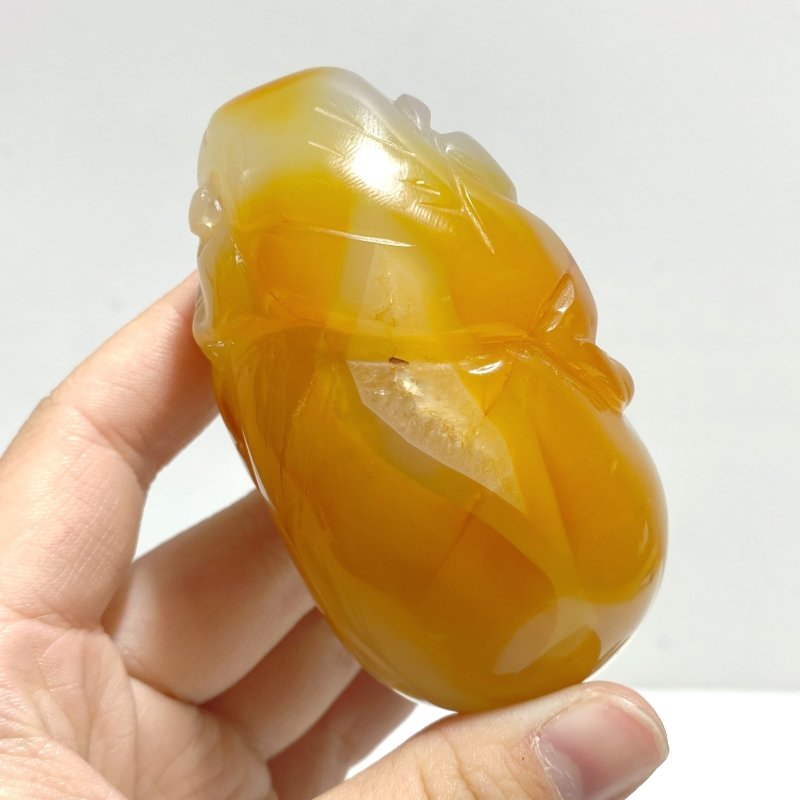 10 Pieces Beautiful Agate Tiger Carving - Wholesale Crystals