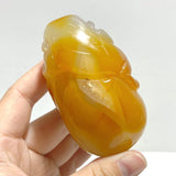 10 Pieces Beautiful Agate Tiger Carving - Wholesale Crystals