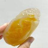 10 Pieces Beautiful Agate Tiger Carving - Wholesale Crystals