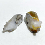 10 Pieces Beautiful Geode Druzy Agate Bear Carving - Wholesale Crystals