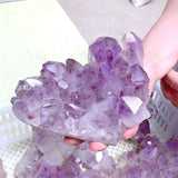 10 Pieces Raw Amethyst Cluster Polished Bottom (Sea Freight Only) -Wholesale Crystals