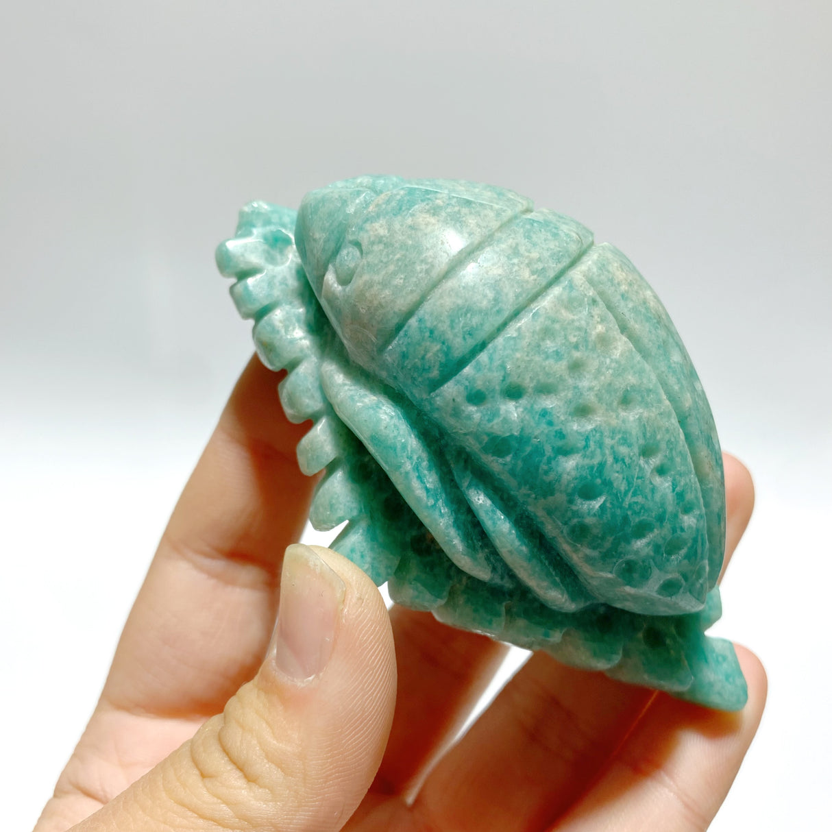 16 Pieces Amazonite Sea Animal Carving