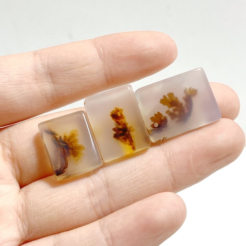 107 Pieces Natural Rare Scenic Dendritic Agate Stone - Wholesale Crystals
