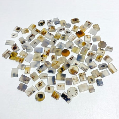 107 Pieces Natural Rare Scenic Dendritic Agate Stone - Wholesale Crystals