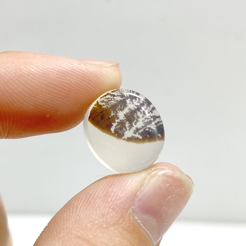 107 Pieces Natural Rare Scenic Dendritic Agate Stone - Wholesale Crystals