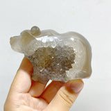 11 Pieces Geode Druzy Agate Bear Carving - Wholesale Crystals