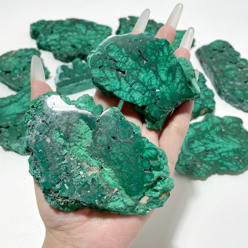 11 Pieces High Quality Beautiful Malachite Slab - Wholesale Crystals