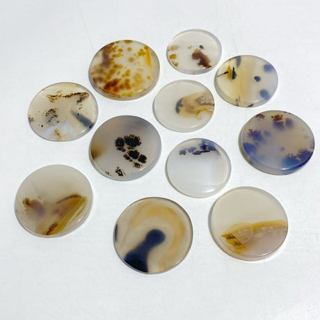 11 Pieces Natural Rare Scenic Dendritic Agate Stone -Wholesale Crystals